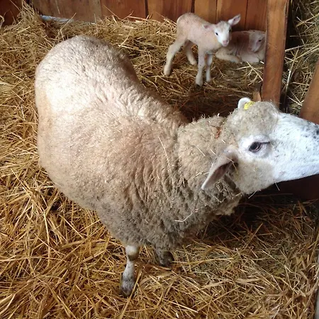 Rural Insolite Le Petit Cabanon
